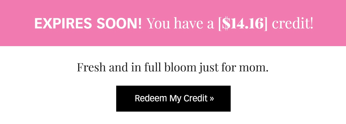 Expires Soon! You have a [$14.16] credit »
