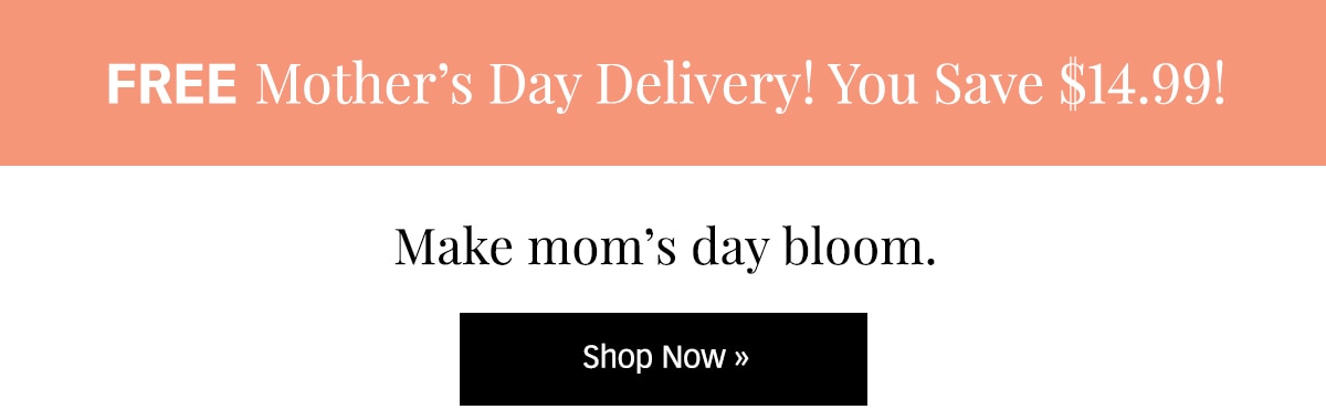FREE Mother's Day Delivery! Shop »