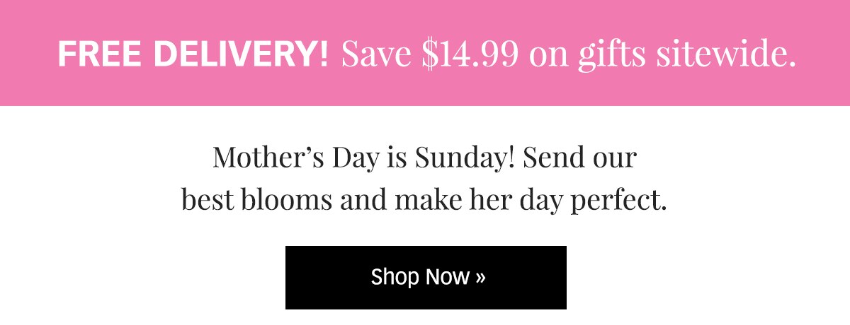 FREE Delivery for Mom! Shop Now »