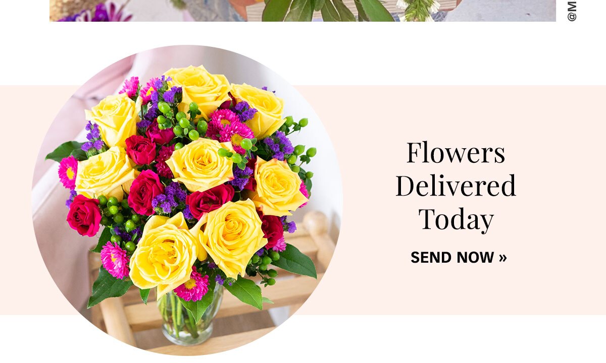 Shop Flowers Delivered Today »