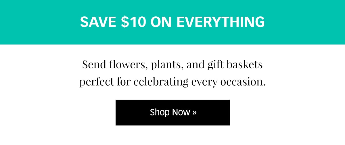 Save $10 on gifts sitewide »