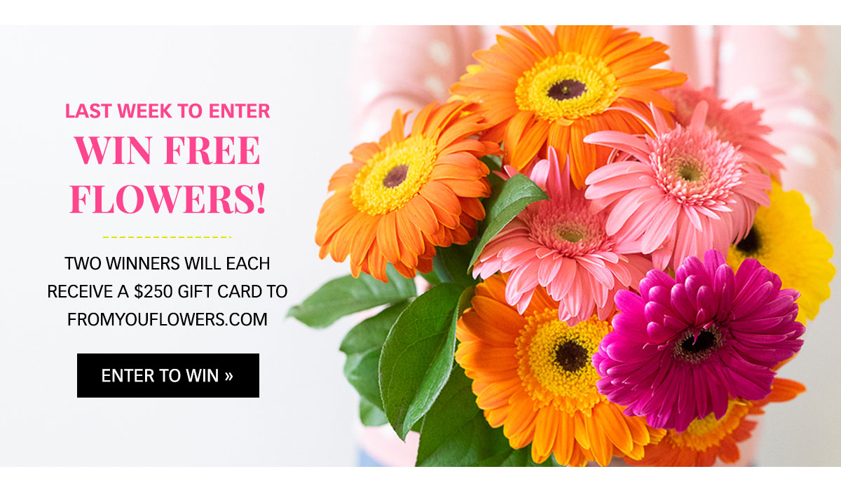 Enter to win FREE flowers »
