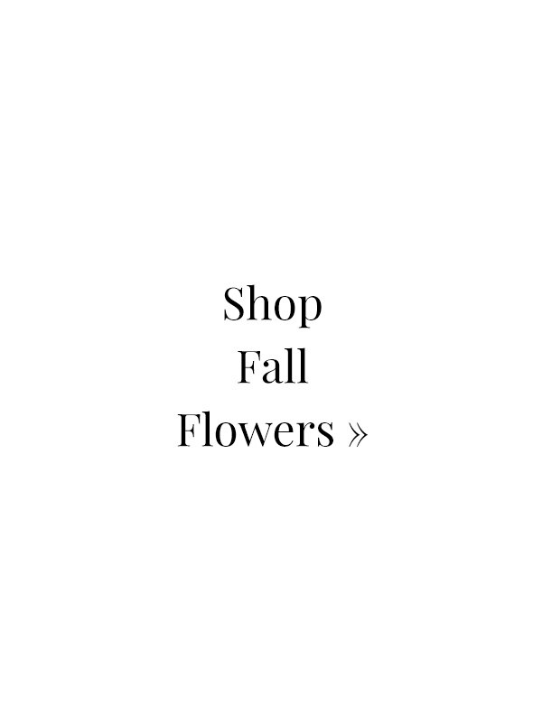Shop Fall Flowers »