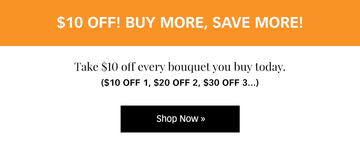 $10 off! Buy more, save more! Shop now »