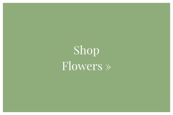 Shop Flowers 
