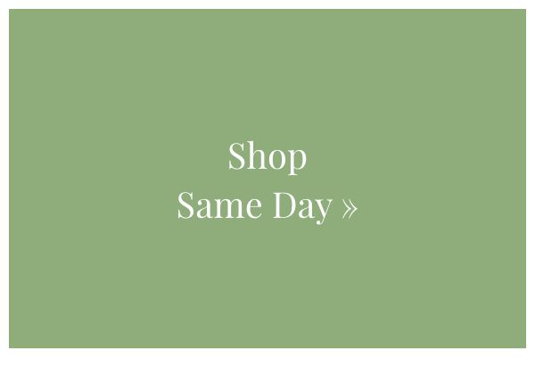 Shop Same Day 