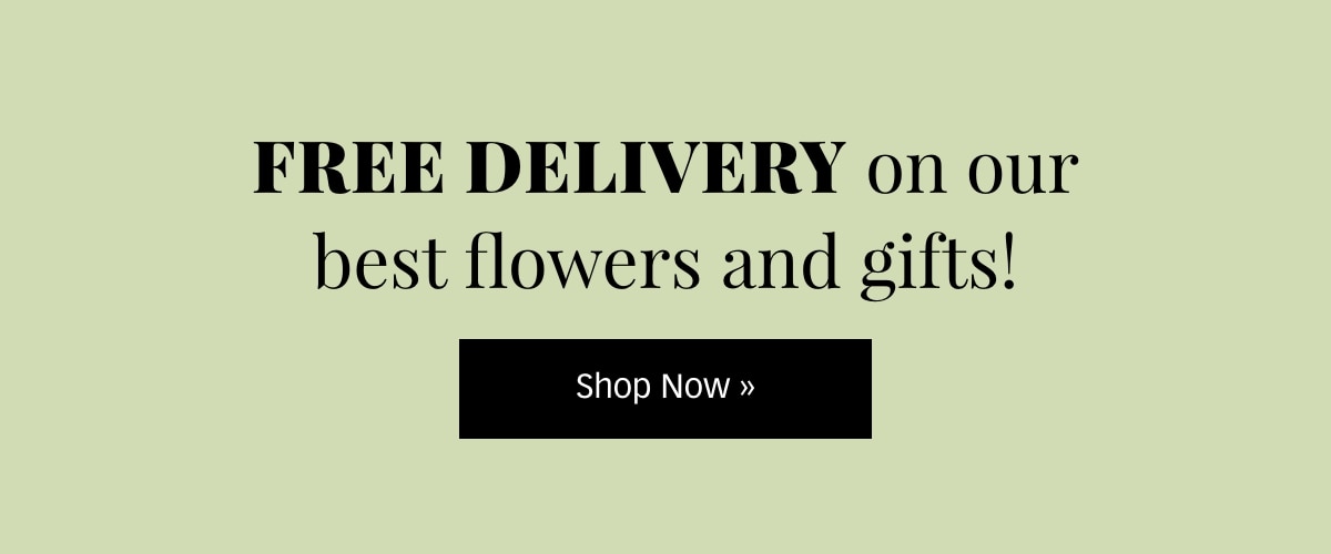 Free Delivery Sitewide! Shop Now 