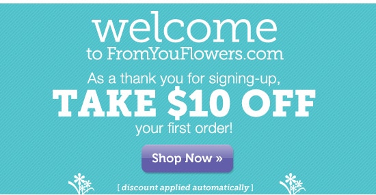 Welcome! TAKE $10 OFF your first order!