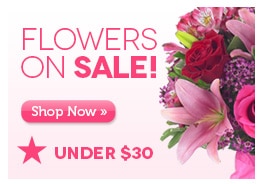 Shop Flowers Under $30 ï¿½